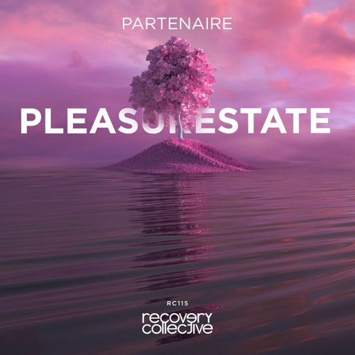 RC115 | Partenaire - Pleasurestate EP