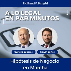 Hipótesis de Negocio en Marcha