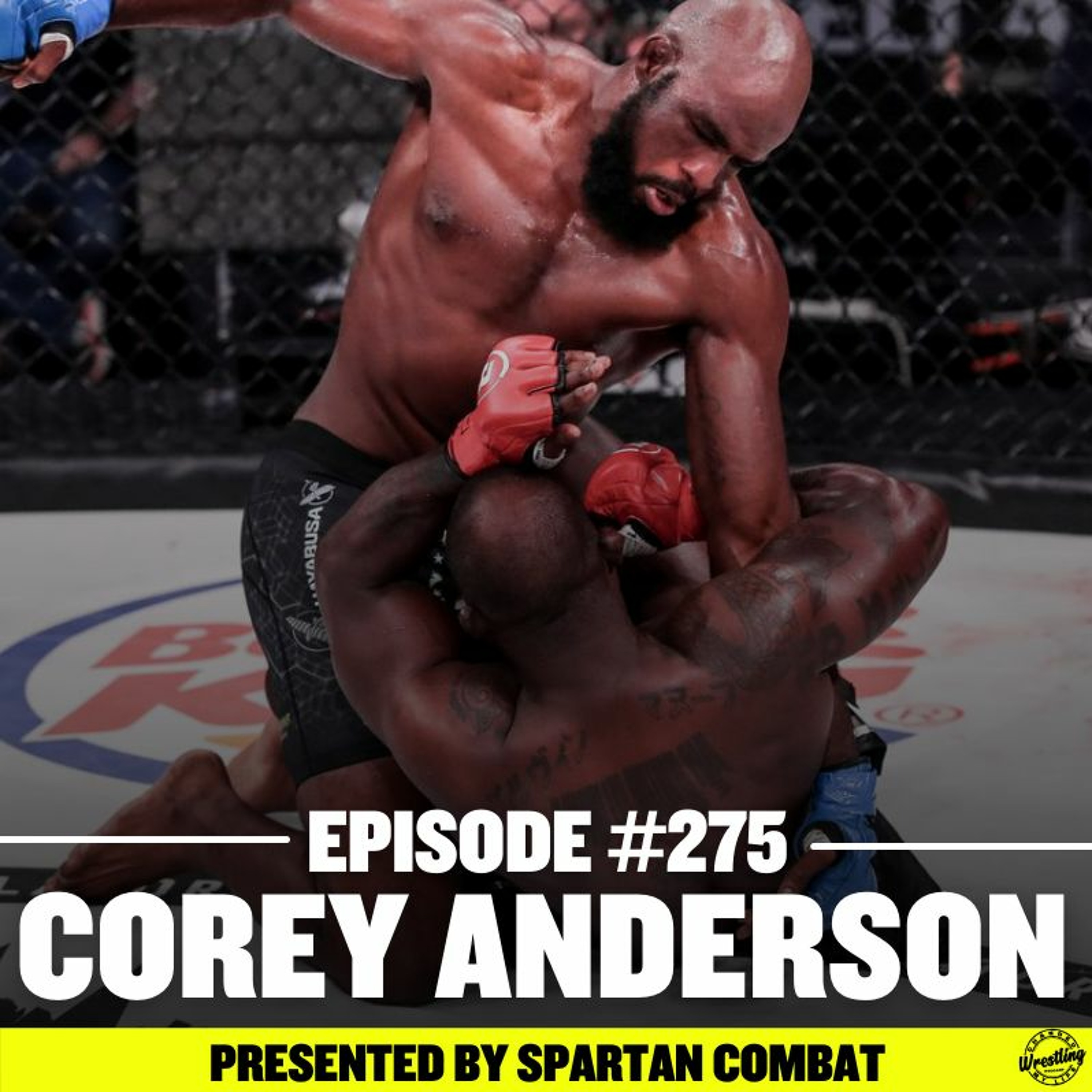 Wrestling Changed My Life (Wrestling Podcast)