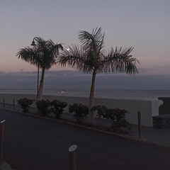 S-AMG - Marseillese Free'