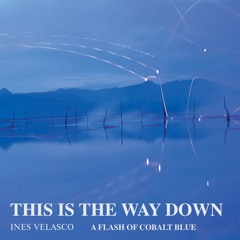This Is The Way Down (feat. Catey Esler, Sam Blakeslee & Jorge Esquinca)