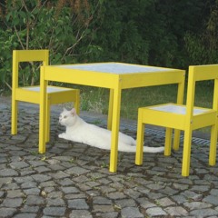 with my cat Dune - Dune