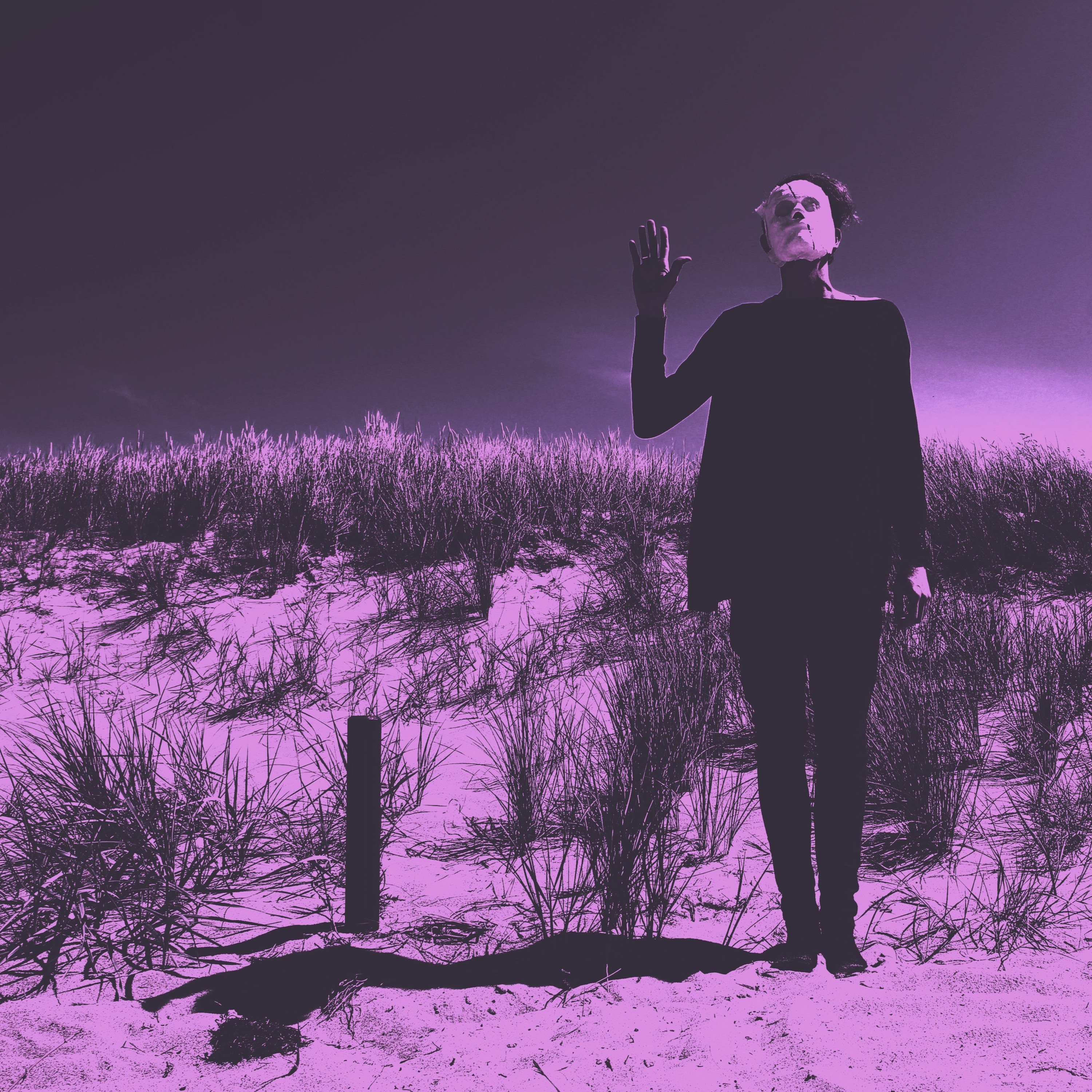 Vlimmer - Perplexität episode artwork