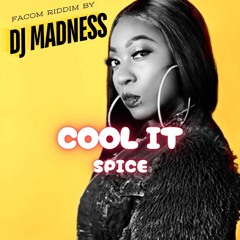 SPICE X DJ MADNESS - Cool It (facom Riddim) 2024