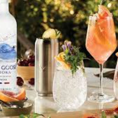 Grapefruit Vodka Fizz