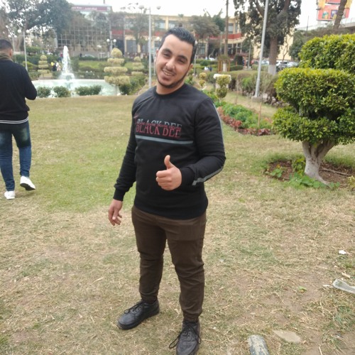 المهرجان اللي مكسر مصر سوق الجواري غناء شيتوس العالمي2020