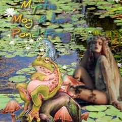 Mystic Mog & her Pond 🐸