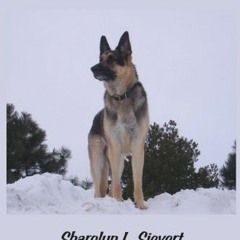 Read KINDLE 📧 K-9 Search: Journey Through the Storm by  Sharolyn Sievert &  Emily Bo