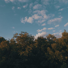 them or me prod skulls