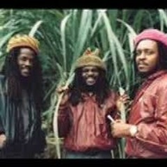 The Itals - Jamaican Stylie