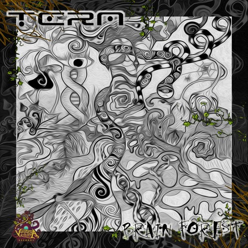03 Tera & Madianbrains - Jungle Teleport