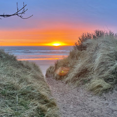 Arrive at Daybreak