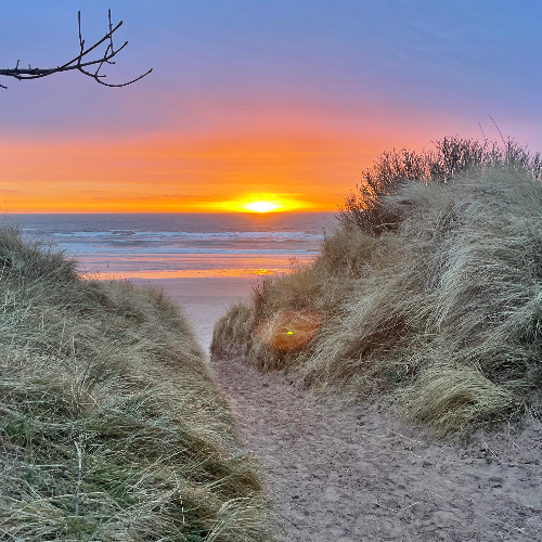 Arrive at Daybreak