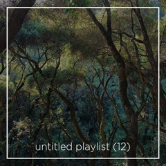 untitled playlist (12)