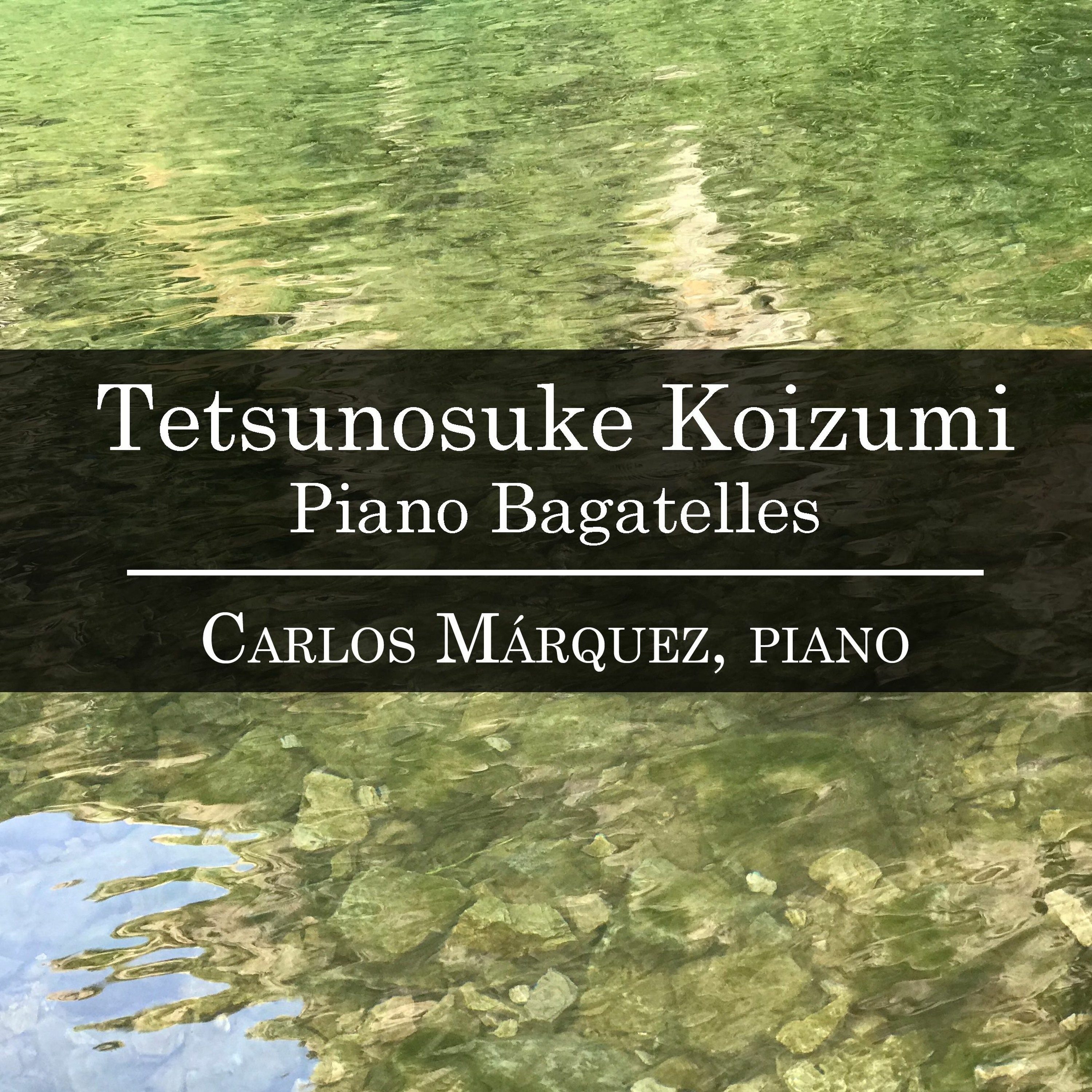 Tetsunosuke Koizumi: Bagatelle No.17