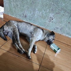 mix tùm lum thập cẩm