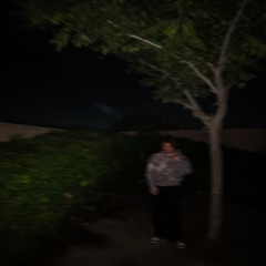 lone tree + plure