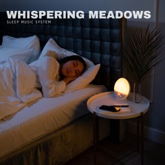 Healing Sleep Music