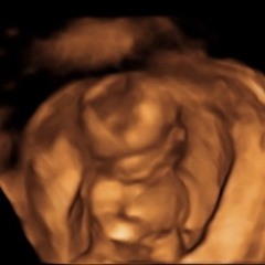 gender reveal mix