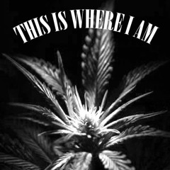 Daniel Ambrósio - This Is Where I Am