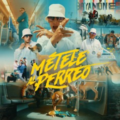 Daddy Yankee - Metele Al Perreo (Hype Intro) *COPYRIGHT*