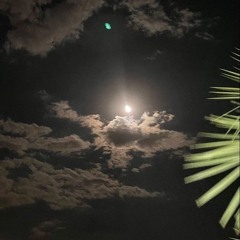 القارئ عبدالسلام العبيدي - أواخر سورة الحشر