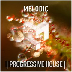 MELODIC PROGRESSIVE