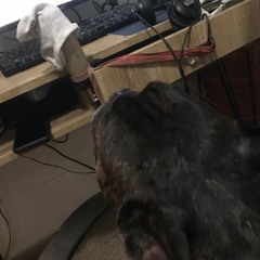 Foll - Fruto Ft. Glbk (prodglbk)