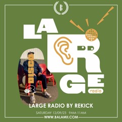 LARGE RADIO W/ REKICK - September2023
