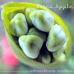 window - fiona apple (unreleased v.)
