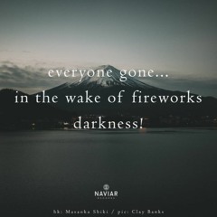 flashdark (navku502)