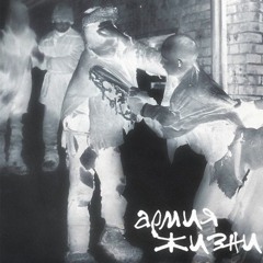 Армия Жизни (микс. DJ Masha)