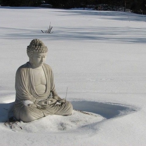 corp+, parkervs & sosa - shikasta 2