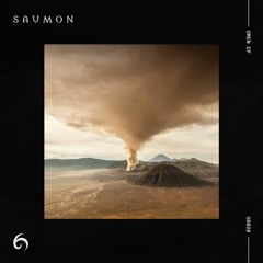 GR020 - Saumon - Murmuration