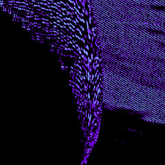 Fission\FUSION
