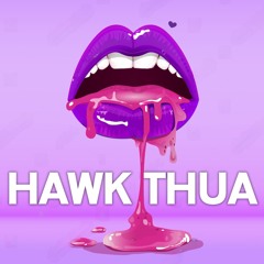 HAWK THUA