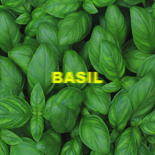 Basil