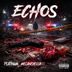 Echo