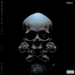 V4NT4, deadblackrose - Other Side