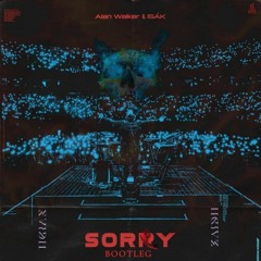 Alan Walker & ISÁK - Sorry (ZaidH Bootleg)