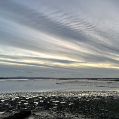 The Soft Wind