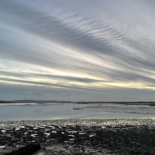 The Soft Wind