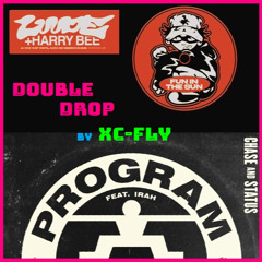 Luude+HarryBee "Fun in the Sun"|Chase&Status ft. Irah "Program" (DoubleDrop MashUp)