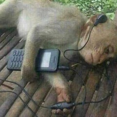 LARS & Daniel Friedman - eh