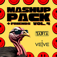 BARTA, VEIVE & Friends Mashup Pack Vol. 4
