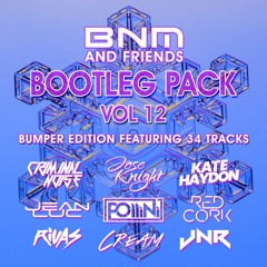 BNM & Friends 12 - Bootleg/Mashup/Edit Pack - 34 Tech House, Electro House, Deep House Tracks