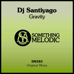 DJ Santiyago - Web (Original Mix)