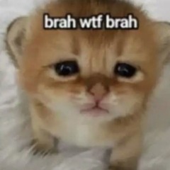meow
