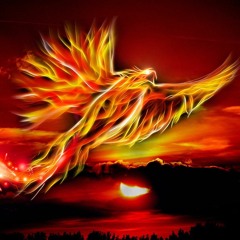 Phoenix Rising | Part I