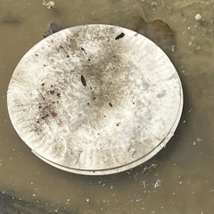 song cover - 10:2:25, 7.08 PM